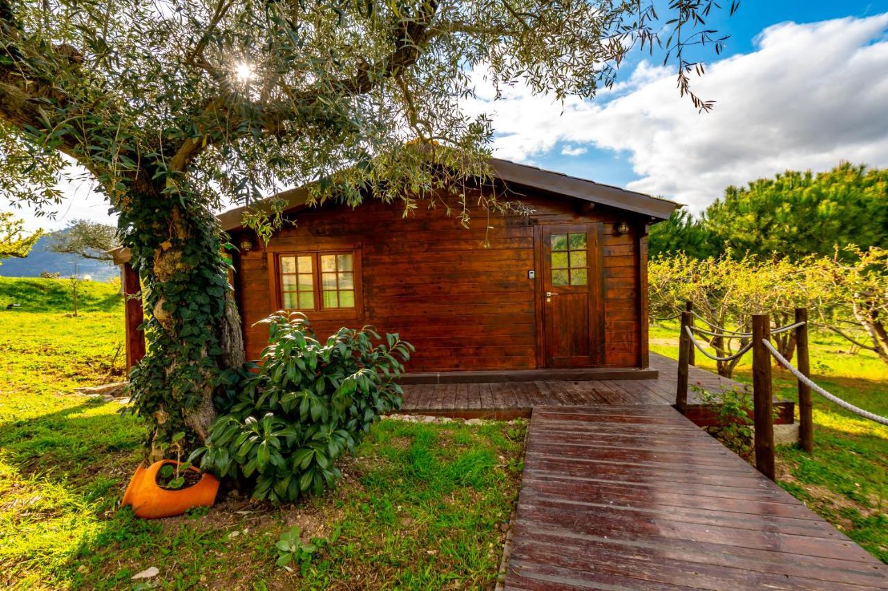 Отель Quinta Do Quinto Porto da Carne Экстерьер фото